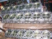 Запчасти  двигателя Д6/Д12