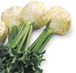 Семена овощей оптом,  весовые семена овощей 