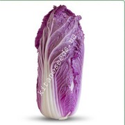 Семена пекинской капусты KS 888 F1 (Китано)